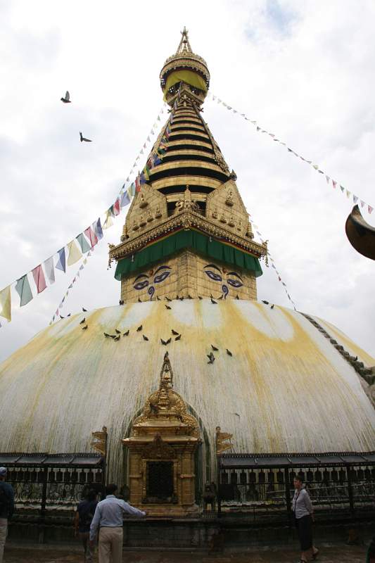 India & Nepal 2011 - 0397